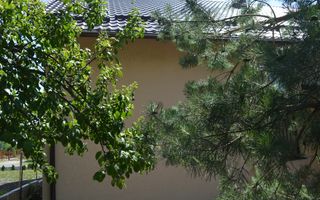 Casă/Vilă cu 5 camere Măzănăești - Poză 69