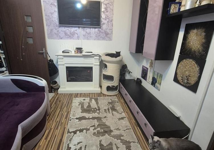 Apartament 2 camere semidecomandat, Valea Rosie - Poză 1