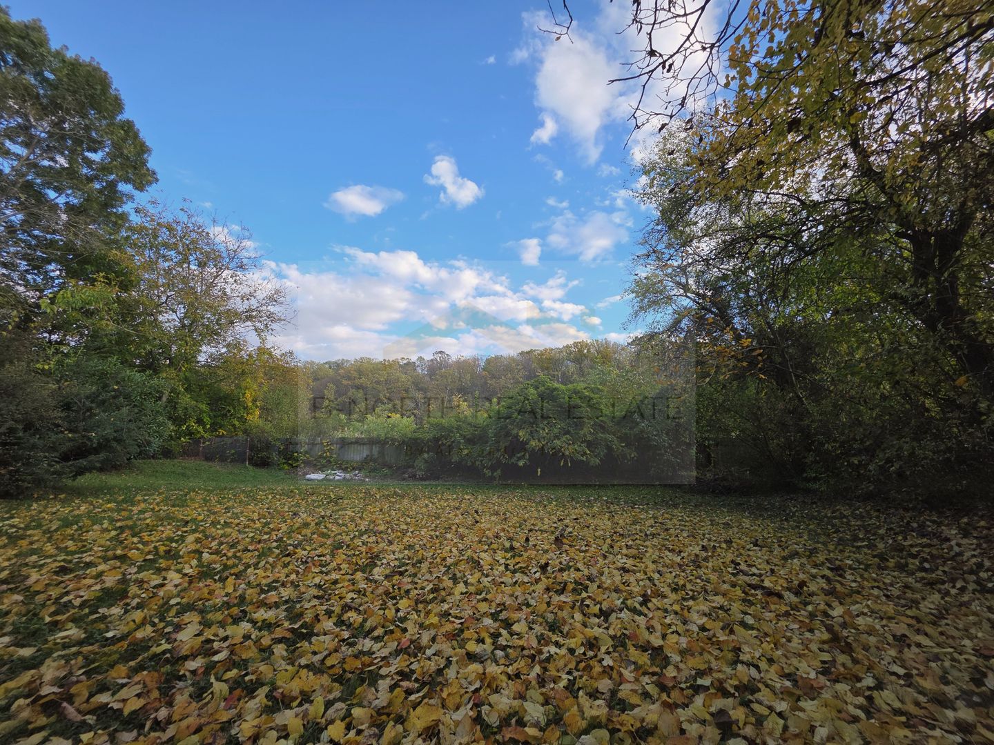 Reședință exclusivistă cu deschidere la Lacul Scroviștea - Poză 23