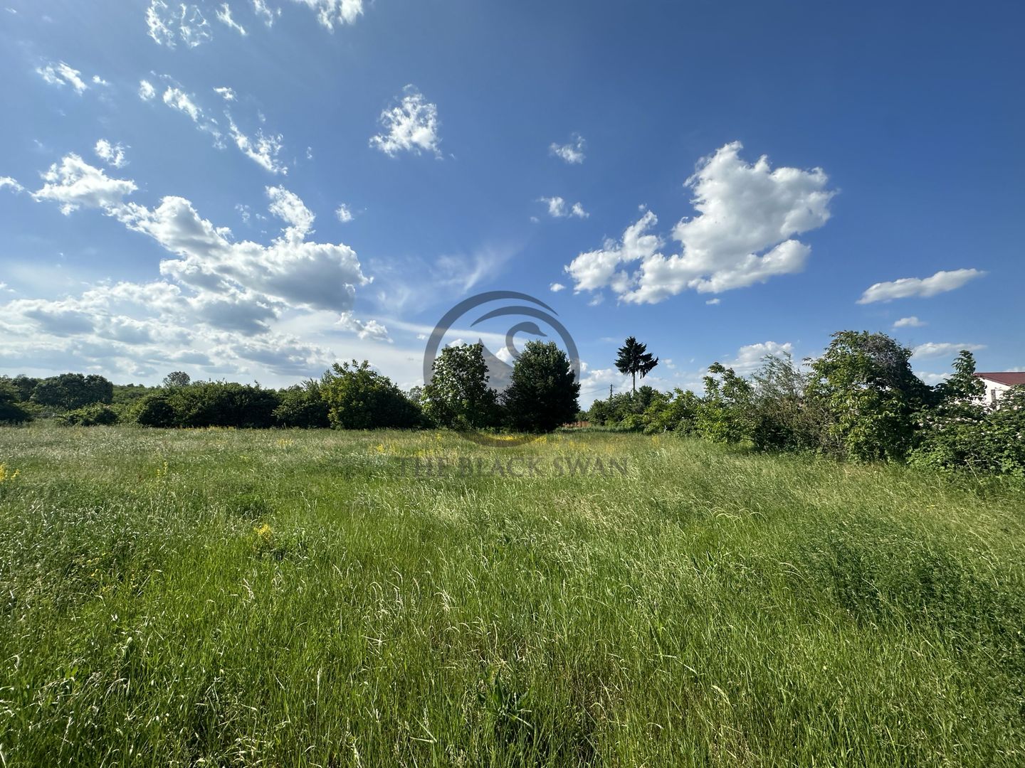 Teren intravilan de vanzare | 11.000 mp | Ghirdoveni | Comision 0% - Poză 6