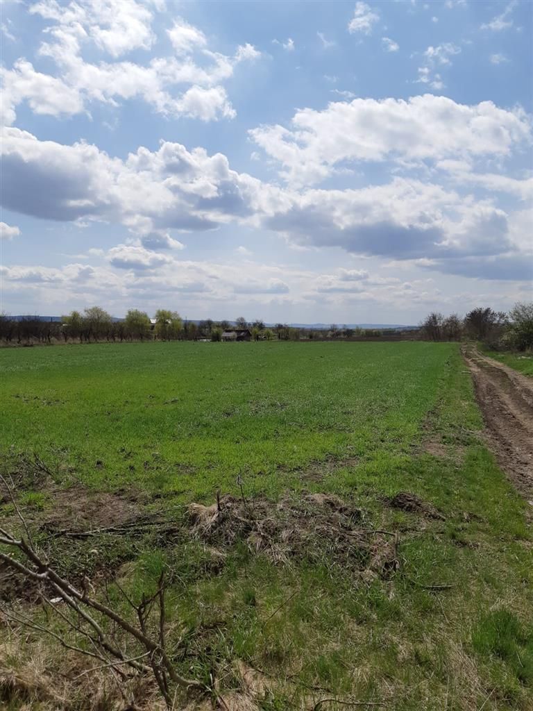 Teren extravilan 5.900mp,langa lac,acces dublu,apreciabil potential,Breaza,Mures - Poză 3