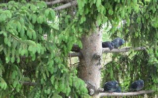 Exclusivitate garsoniera pretabila investitie, bloc de apartamente - Poză 11