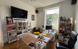 VILA LOCATIE UNICA GRADINA ICOANEI - Poză 8