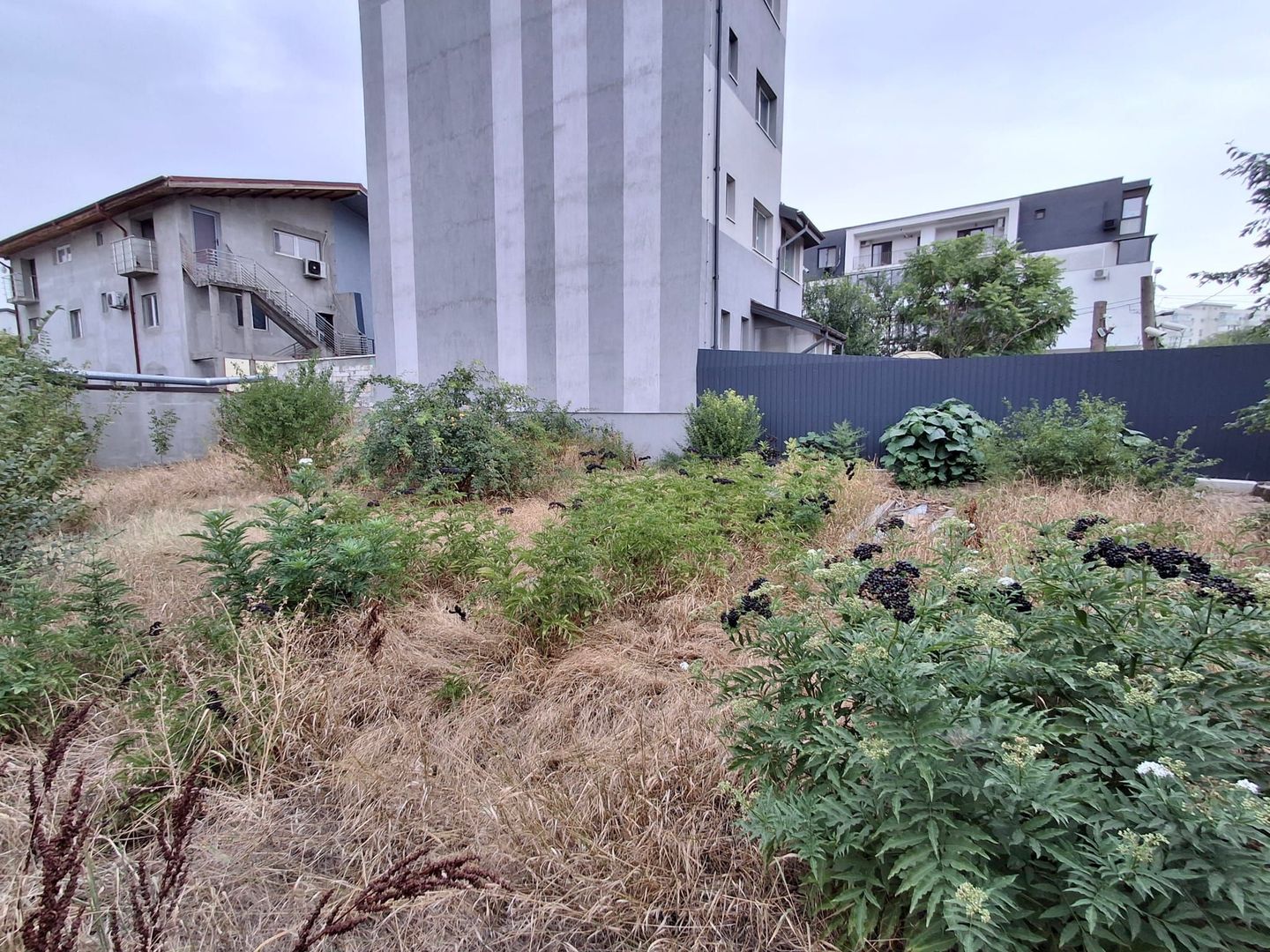 Teren de vanzare - zona Maior Colentina - Poză 15