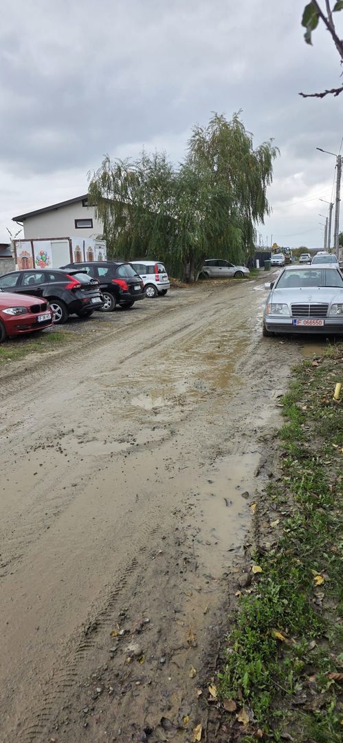 1 DECEMBRIE - TEREN 2500 MP - Poză 2