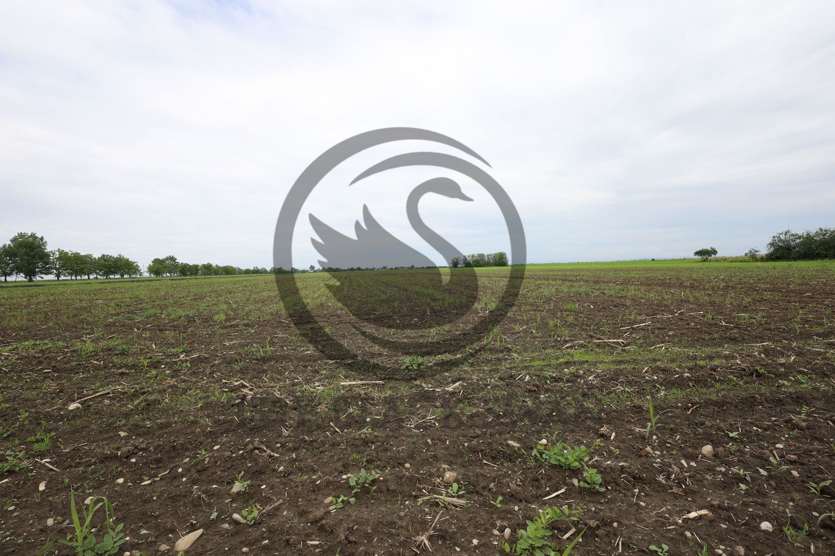 Teren de vanzare in Manesti, Prahova | 18.000 mp | Deschidere 60 ml - Poză 3