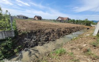 Teren intravilan  13 ari  Catallina - Poză 1