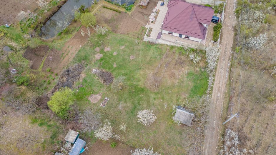 Vânzare, teren, 16 ari, str. Prieteniei, Dumbrava - Poză 5