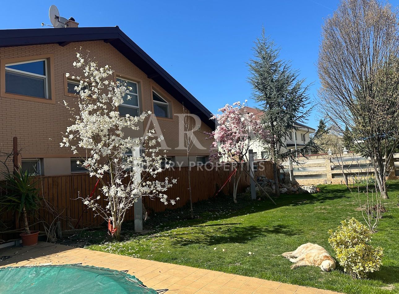 Vila individuala Erou Iancu Nicolae - Poză 20