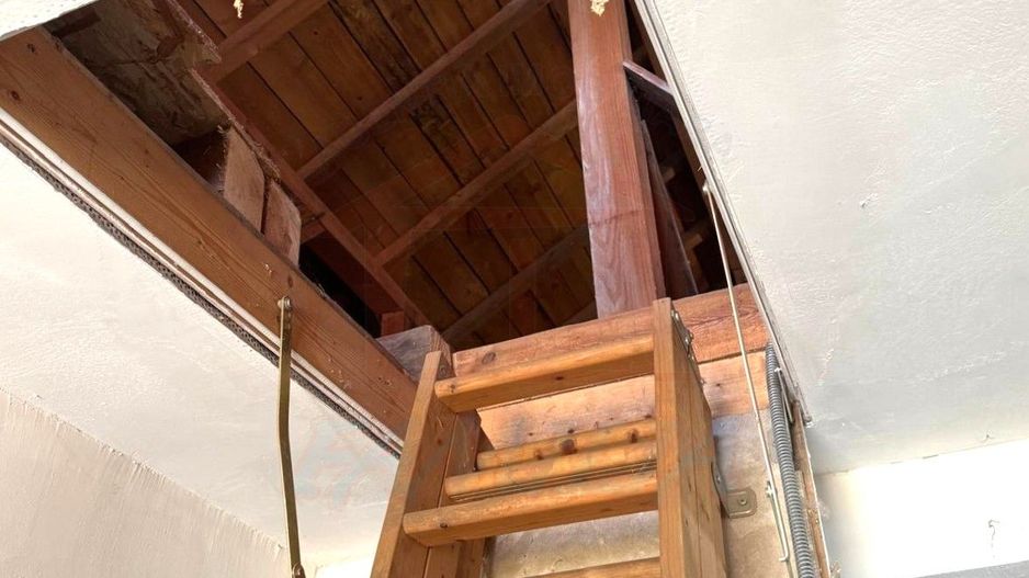 48.000 Euro casa+teren (in concesiune) 804 mp in com Branistea - Poză 4