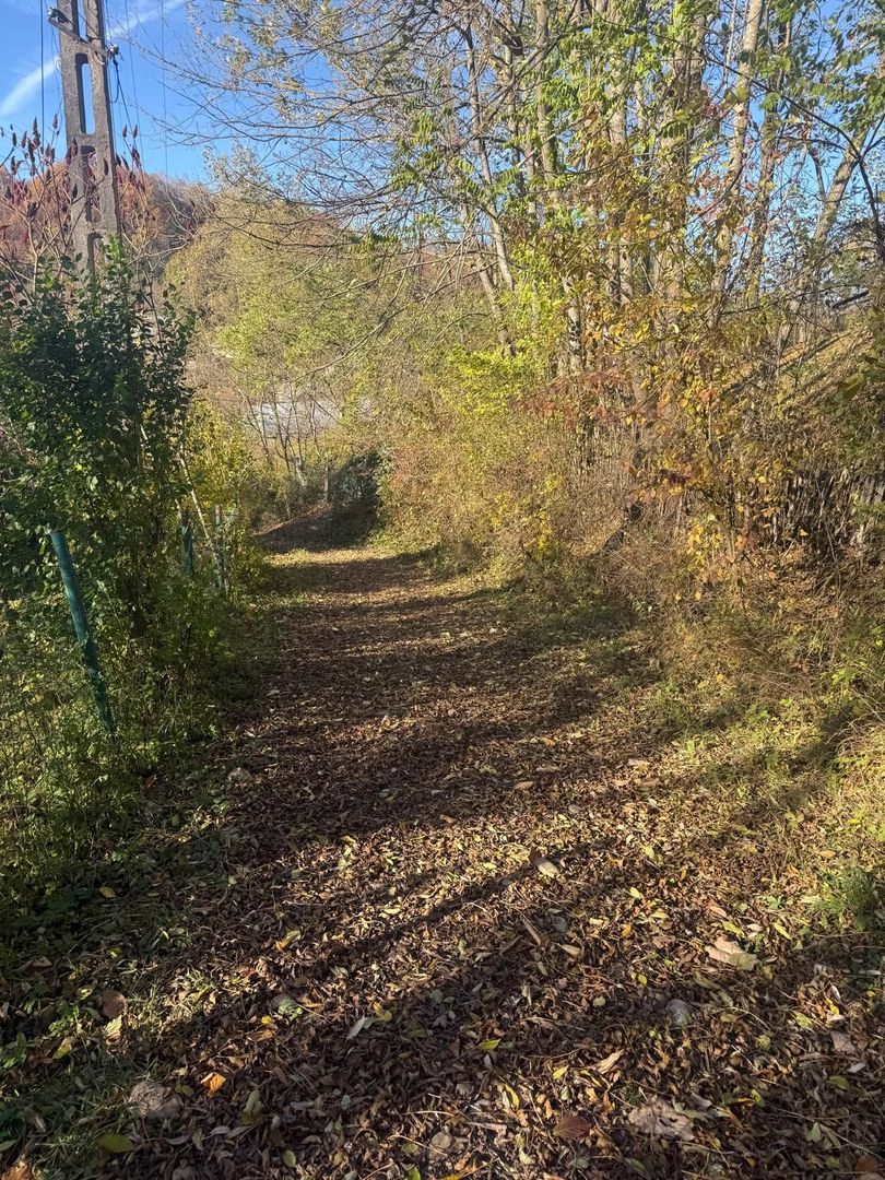 Teren langa pădure 6400mp+casa demolabila-deschidere 35 ml - Poză 14