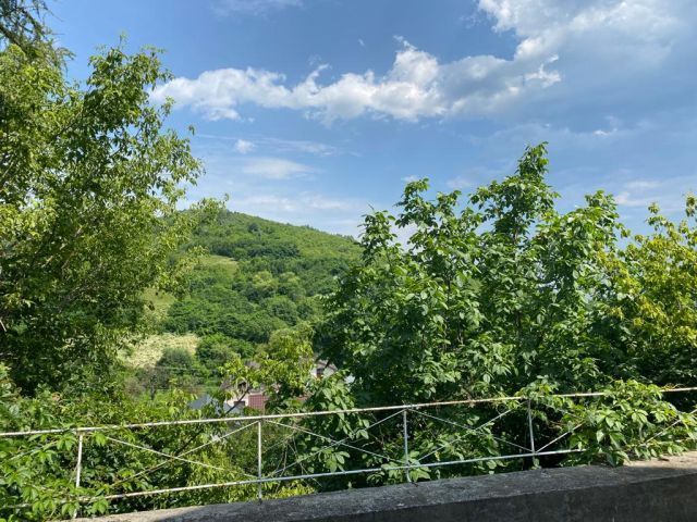 Posibilitate investitie dar si locuinta! Vanzare conac in Viforata - Poză 4