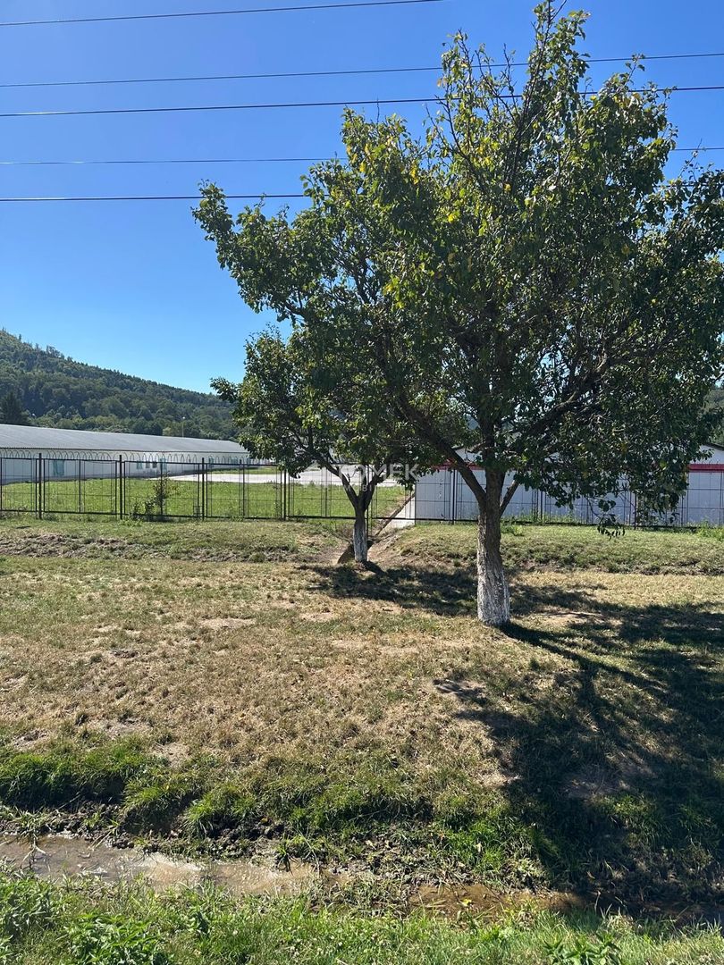 Teren industrial,Cucului-INA-Avicola - Poză 11