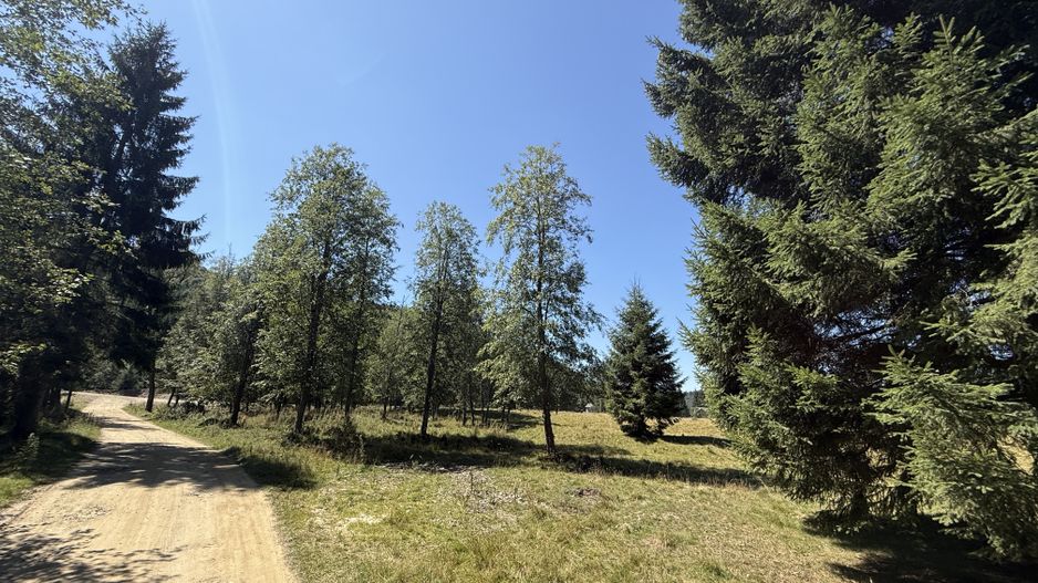 SUPER OCAZIE  - Teren intravilan, COMANDAU-PUZ case de vacanta. - Poză 9