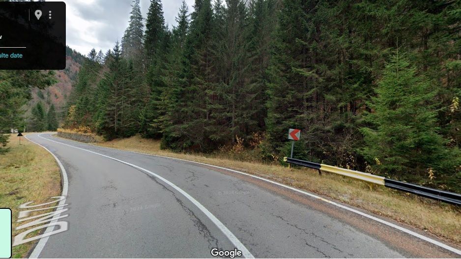 TEREN EXTRAVILAN PADURE PISCUL NEGRU ARGES - Poză 1