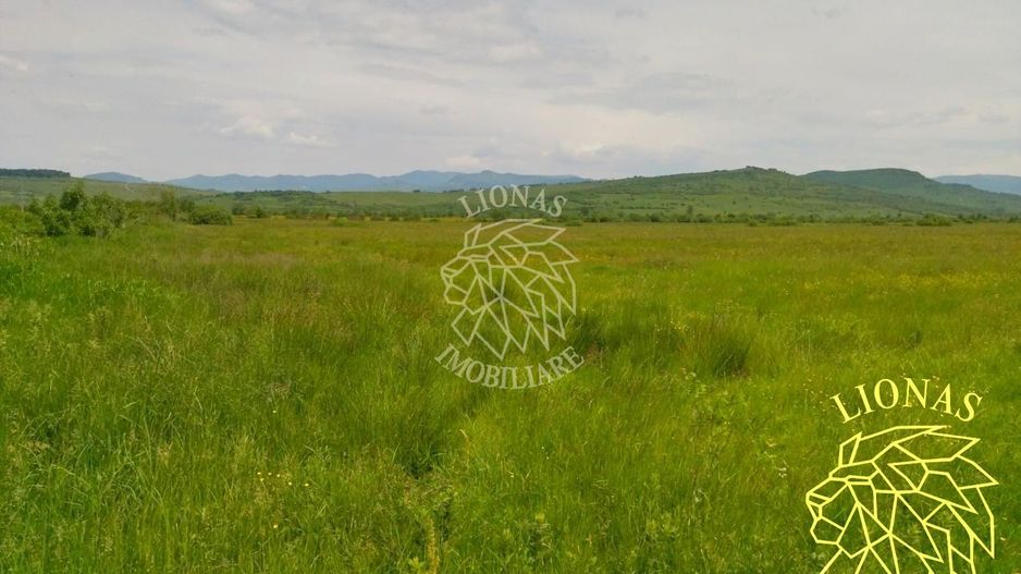 Teren 13100 mp-parcelabil-ideal cabana/agricultura-Orheiul Bistritei - Poză 3