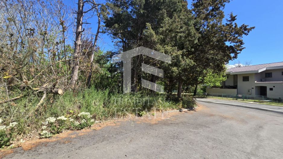 🏖 Teren de vanzare in Neptun – O oportunitate rara de investitie. - Poză 15