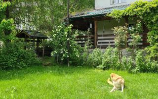 VILA 6 CAMERE TEREN, 825 MP, BEREVOIESTI, ARGES - Poză 6