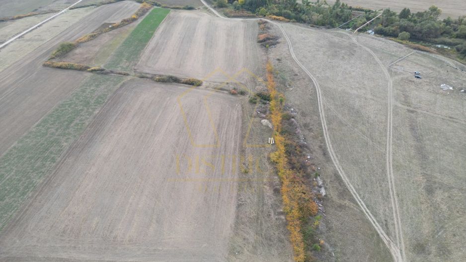 Teren arabil Intravilan 11600mp | LmP | Remetea Mare | COM 0% - Poză 2