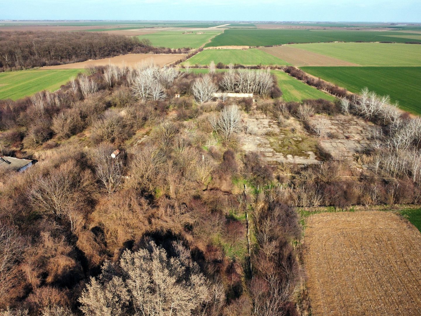 Ferma si livada de meri in judetul Ilfov - Poză 25