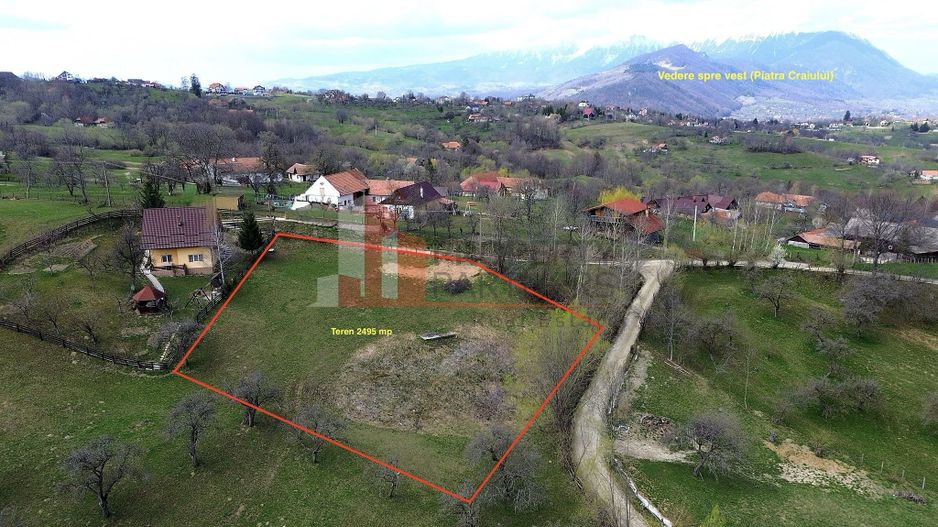 TEREN 2.495 MP | BRAN – SOHODOL | VEDERE PANORAMICĂ SPRE BUCEGI - Poză 5