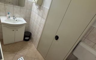 Hală,birourii/depozitare în zona Lugojului - Poză 3