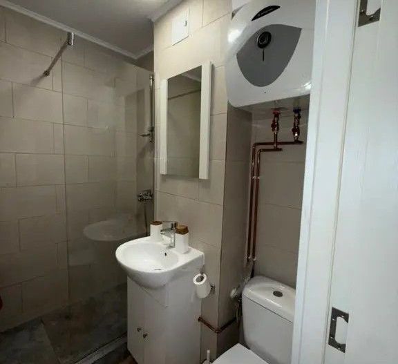 Apartament Victoriei // Veronica Micle - Poză 6