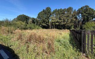 Teren intravilan 704 mp, toate utilitățile – Moșoaia - Poză 2