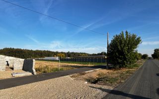 De vanzare 2 terenuri intravilane in Santau Mic – 1.000 mp fiecare - Poză 2