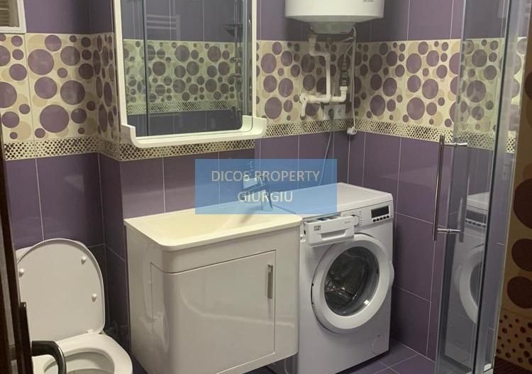 Garsonieră de închiriat pe Strada Vaporului - Poză 3