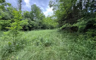 Teren plat-intravilan -3800 mp, cu pădurice și ieșire la râu! - Poză 18