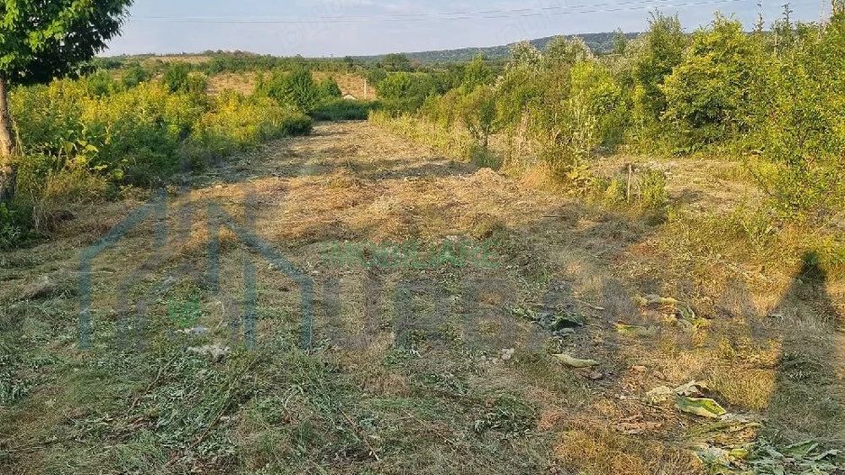 Teren intravilan de vânzare în Curături, comuna Ciurea, Iași - 4.000 mp - Poză 3
