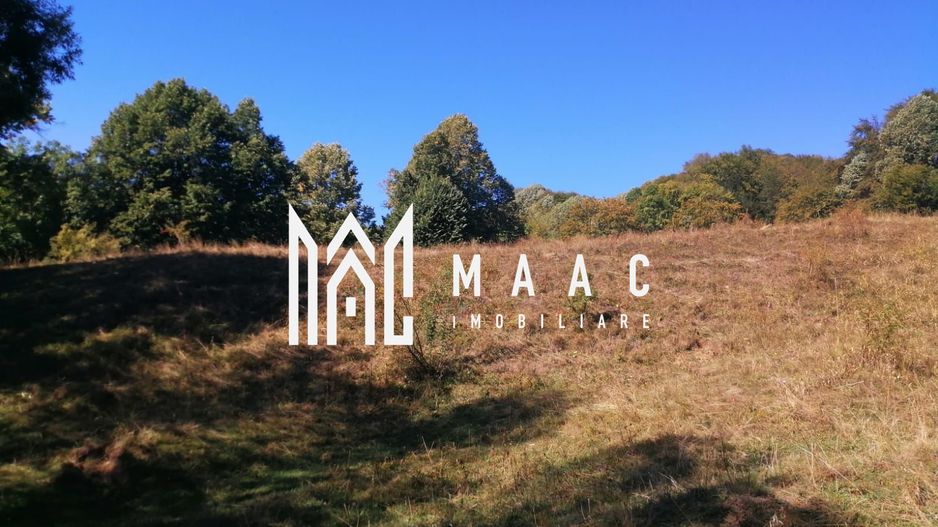 Teren Extravilan 20.000Mp I Stoenești -Vâlcea I Apă Curentă și Pădure - Poză 15