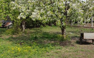 Teren 2.600 mp, utilități, Str. Merișor – Giurgiu - Poză 12