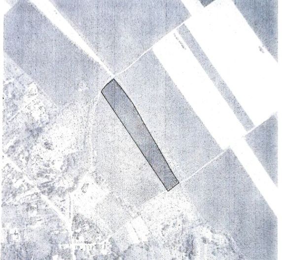 Teren Gruiu Snagov investitie vile - Poză 5