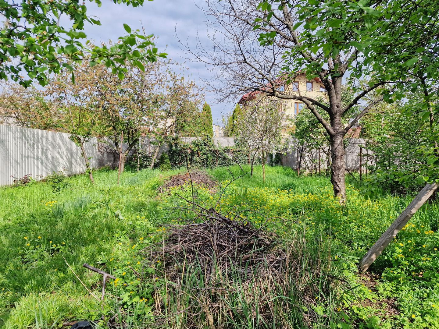 Teren spațios cu casă veche in Vlaicu - Poză 7