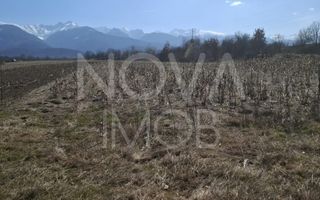 Teren extravilan de vanzare - Arpasul de Sus - Poză 4