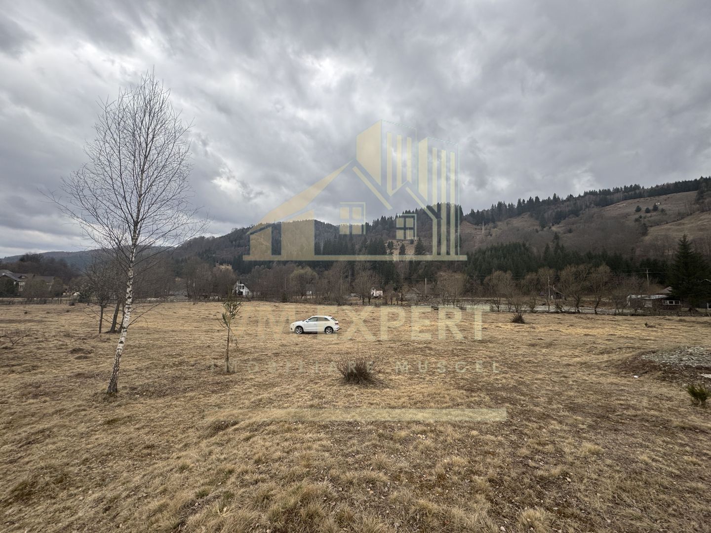 TEREN INTRAVILAN 500 MP SĂTIC- RUCĂR - Poză 4