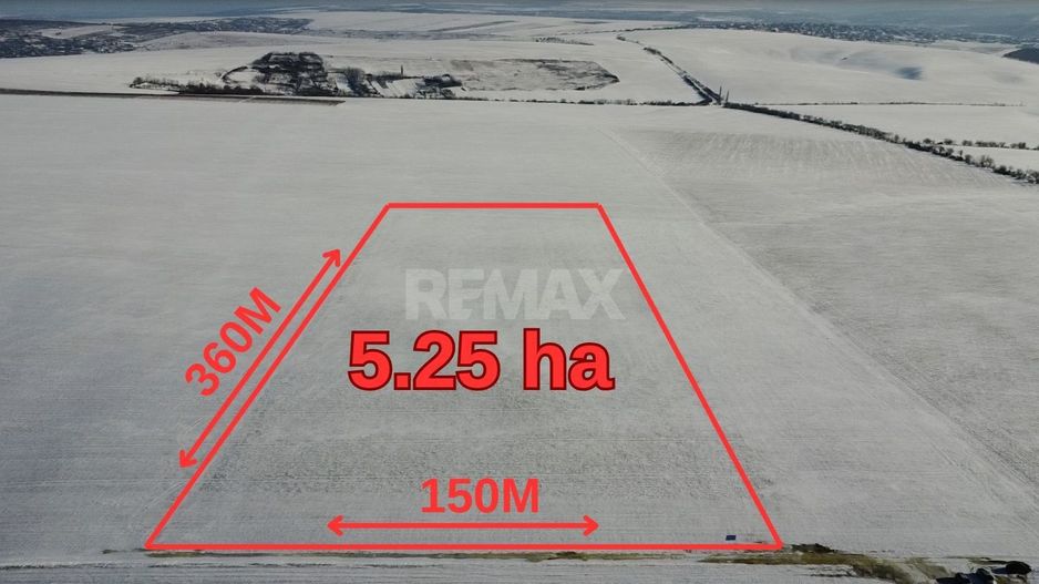 Teren Agricol 5.24 HA com. Cruzești mun. Chișinău - Poză 10