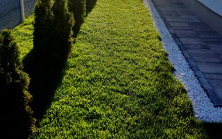 Comisiom 0% Vila 2022  teren 1000 mp Ciorogarla - Poză 40