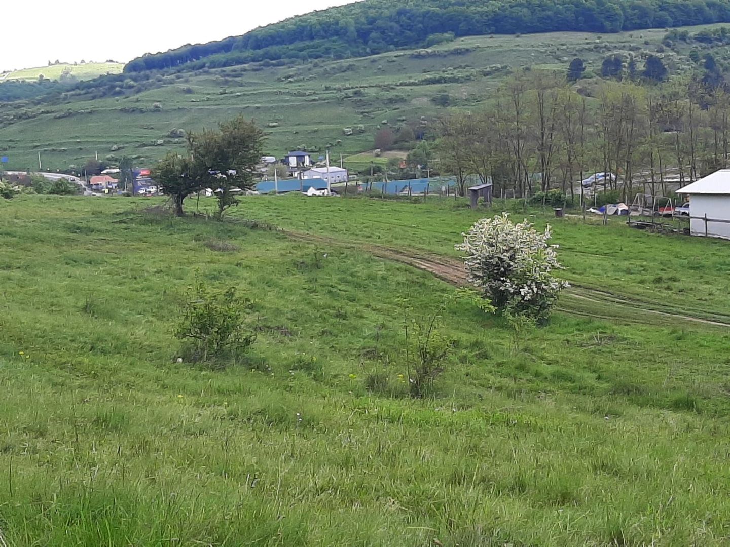 Teren in Valcele - Poză 6