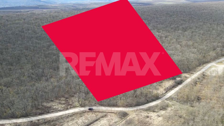 Pădure de vânzare - 2 Ha pentru Agroturism - Poză 2