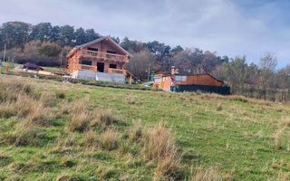 Teren intravilan I 1000 mp I  Tocile - Sadu - Poză 3