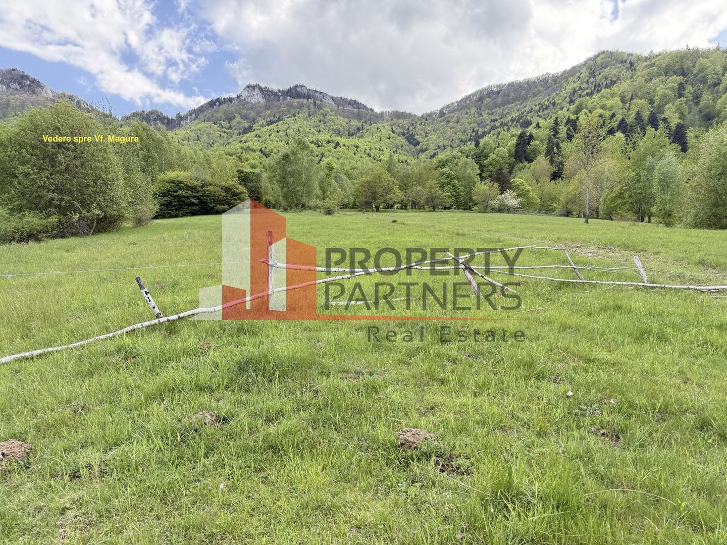 Teren intravilan 5.261 mp Tohănița | Deschidere 49 m | Utilități, lângă pădure - Poză 8
