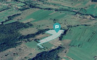 Teren de 92294 in Halmagiu - Poză 4