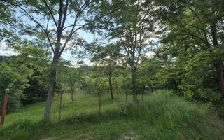 Teren intravilan 1201 mp – Curtea de Arges, Strada Haiducesti - Poză 5