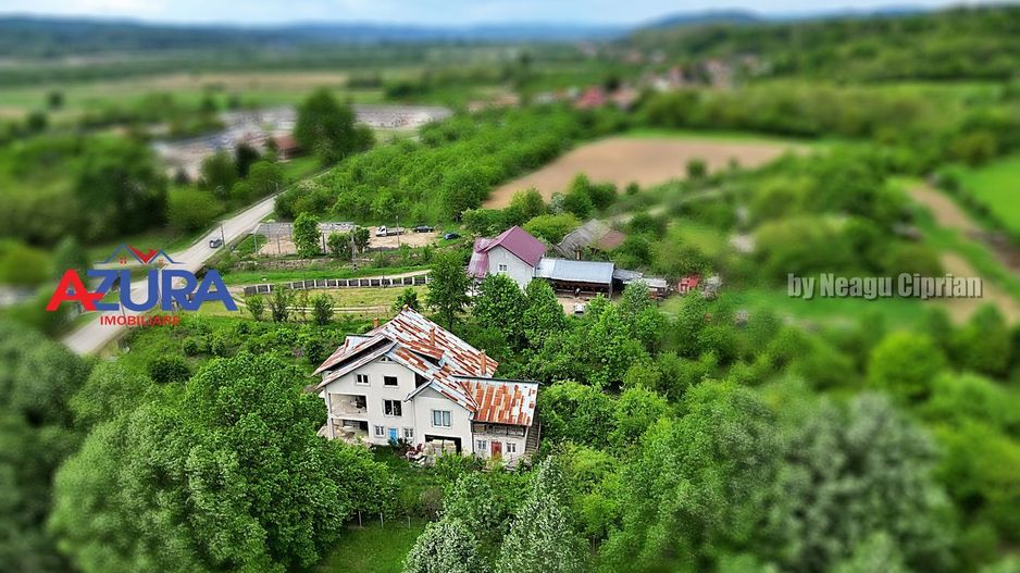 AZURA Imobiliare - Budeasa, Teren 5.069 mp, Casa BONUS - Poză 5