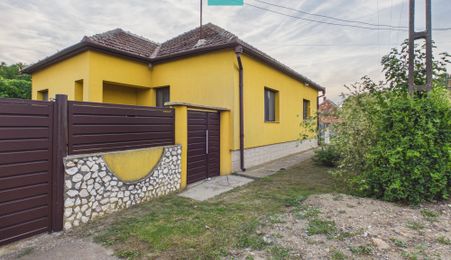 Casă cu 4 camere și teren de 5538 mp în Macea