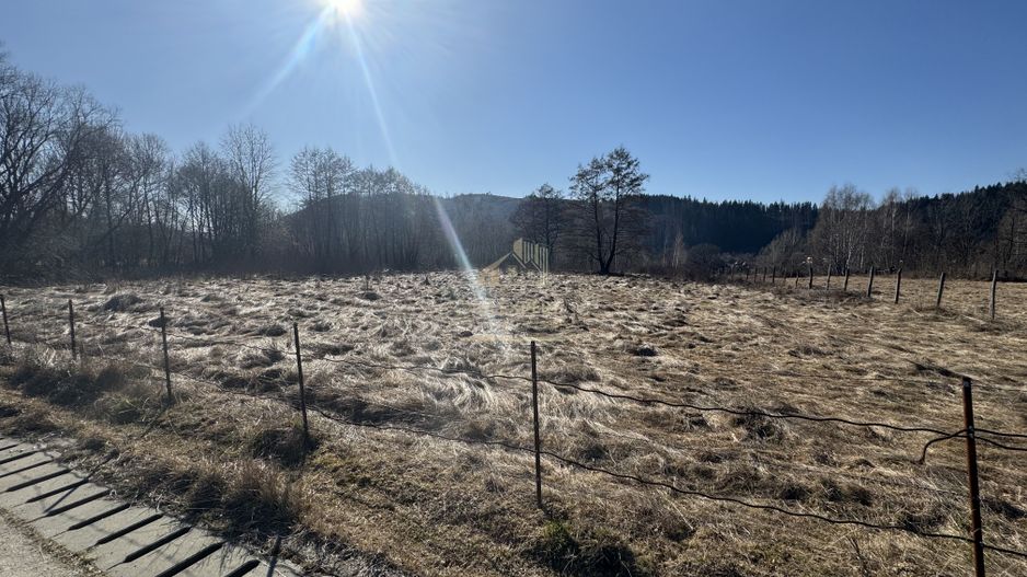 TEREN INTRAVILAN 5000MP, LERESTI, ARGES - Poză 4