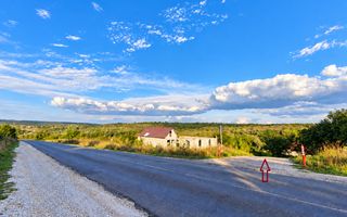 LOT POMICOL DE VÂNZARE – 5,7 ARI | IALOVENI  Î.P. „Floare-Carpet - Poză 2